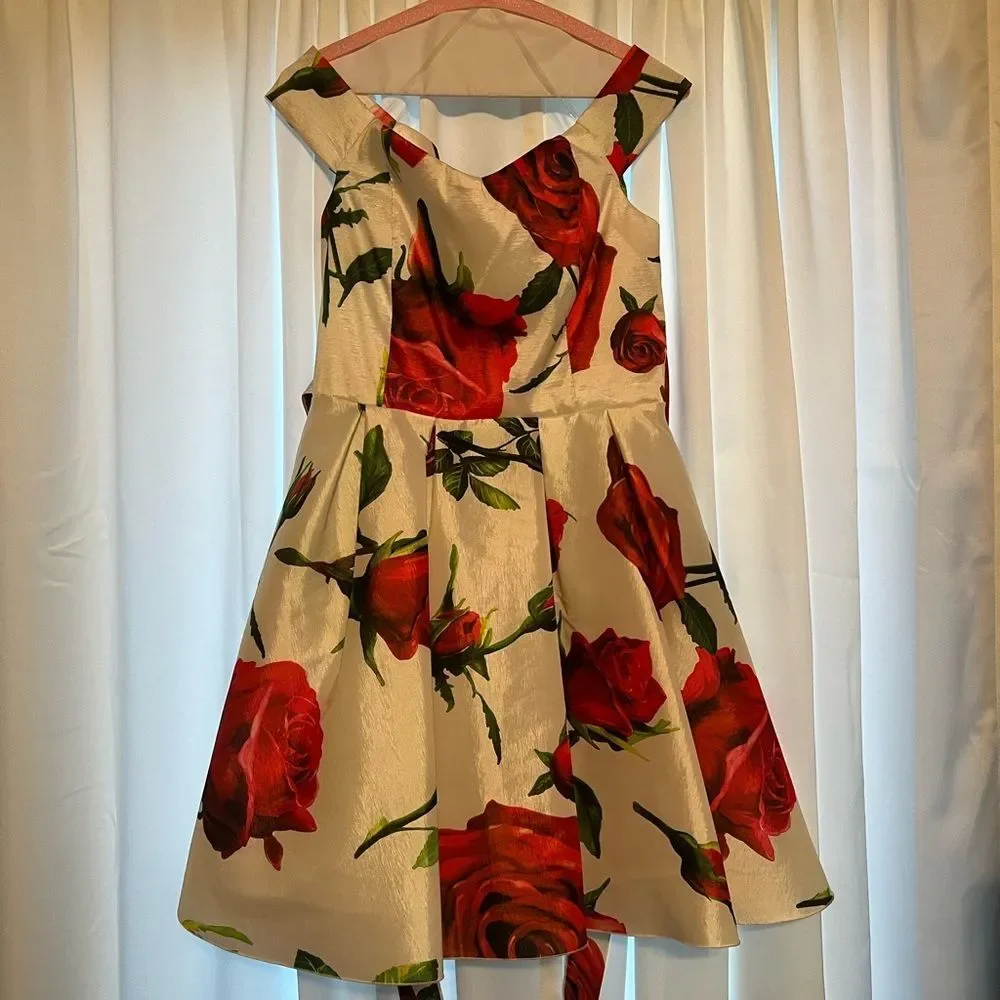 Windsor Formal Off The Shoulder Rose Dress - Picture 1 of 4